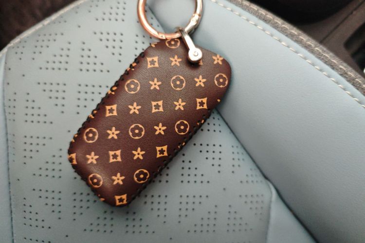 奇瑞 小蚂蚁 2022款 甜粉款 半糖版 磷酸铁锂 30kW 301km中控内饰7001