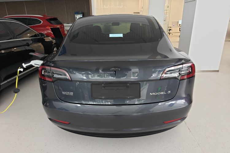 特斯拉 Model 3 2020款 标准续航后驱升级版车身外观6004