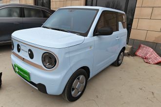 吉利银河 2023款 熊猫mini 200km 耐力熊