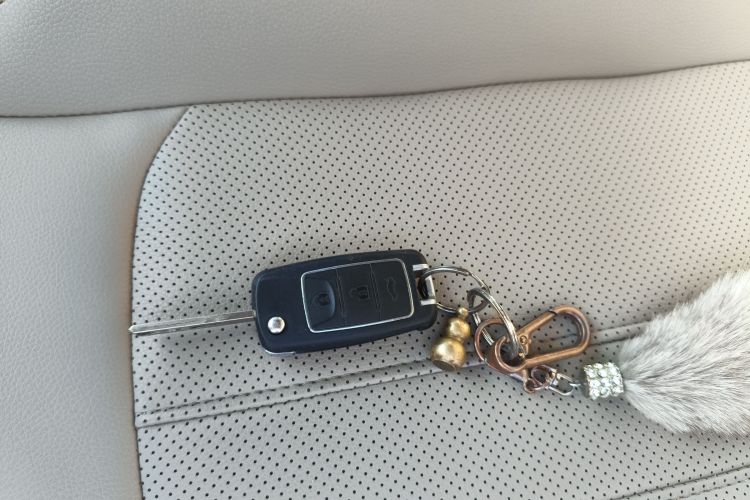 东风风行 菱智 2020款 M5L 1.6L 豪华型 7座中控内饰7001