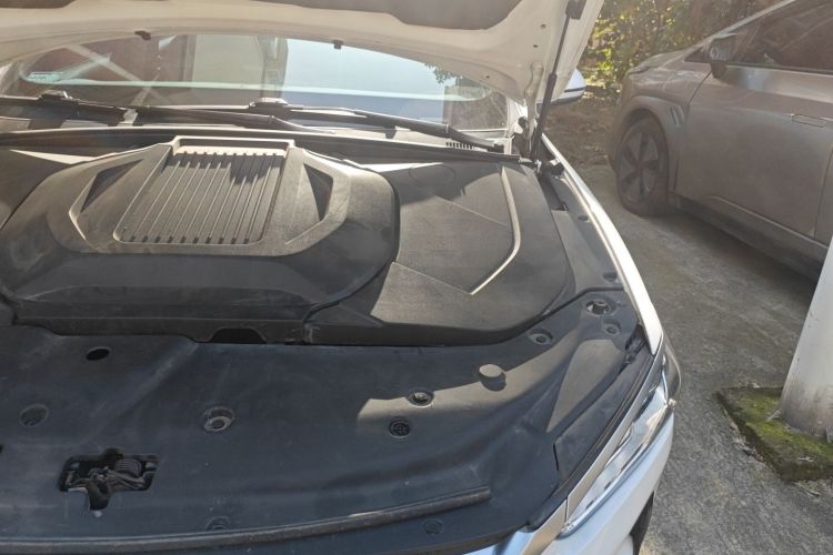 比亚迪 秦PLUS 2021款 EV 500KM 豪华型局部细节9007