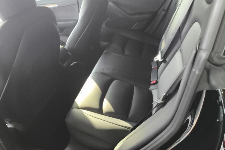 特斯拉 Model 3 2021款 标准续航后驱升级版 3D6中控内饰21