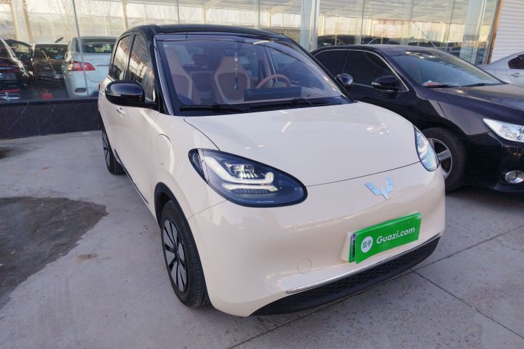 五菱汽车 五菱缤果 2025款 333km 悦享款车身外观6002