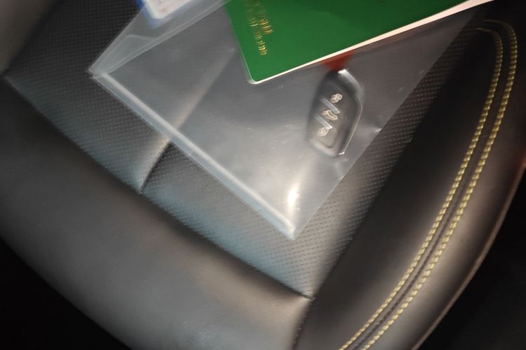 荣威RX5新能源 2020款 ePLUS 国潮荣麟豪华版中控内饰7001