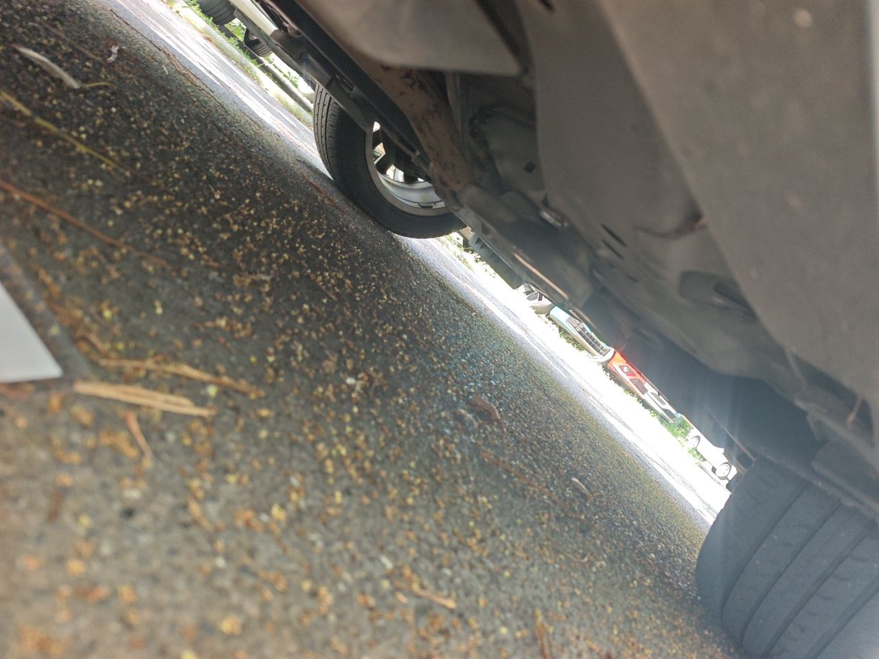 车300二手车图片