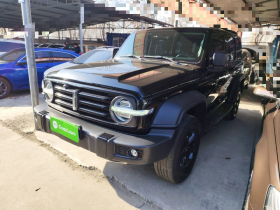 坦克300 2021款 越野版 2.0T 征服者