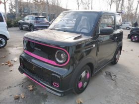 吉利银河 2025款 210km 熊猫卡丁