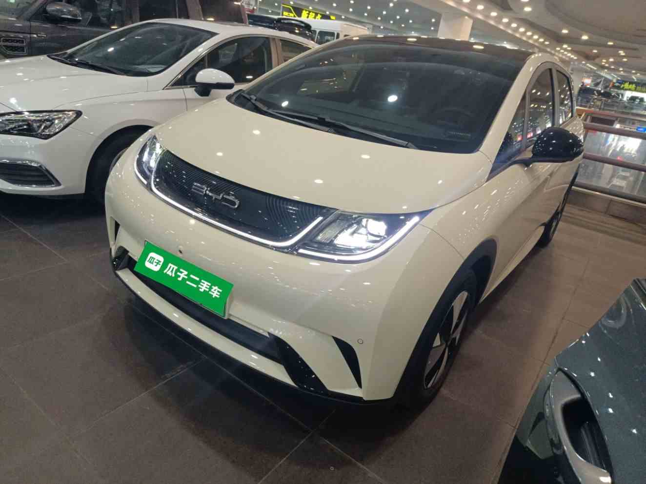 比亚迪 海豚 2023款 420km 时尚版(2)
