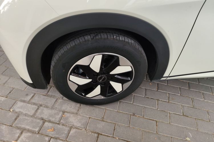 比亚迪 海豚 2025款 420km 自由版车身外观6007