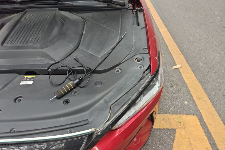 比亚迪 秦PLUS 2021款 EV 500KM 尊贵型局部细节9007