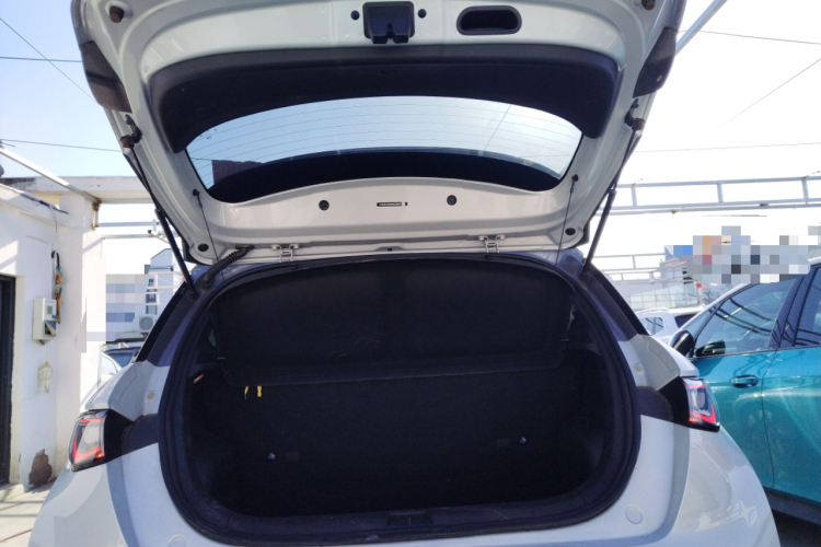 比亚迪 海豚 2021款 401km 骑士版局部细节23