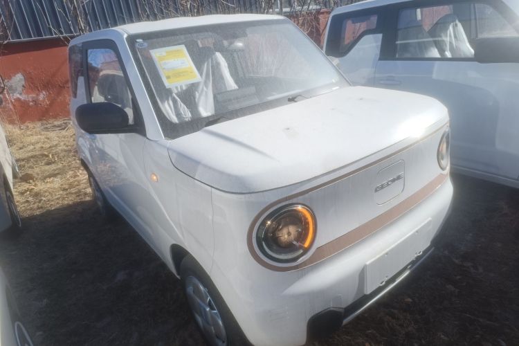 吉利银河 2024款 熊猫mini 200km 耐力熊车身外观3