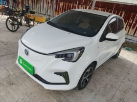 长安欧尚 奔奔E-Star 2022款 清心版 多彩款 磷酸铁锂