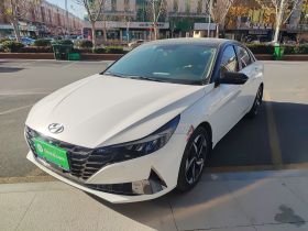 现代 伊兰特 2022款 1.5L CVT LUX尊贵版
