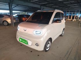 五菱汽车 宏光MINIEV 2024款 第三代 215km 青春版