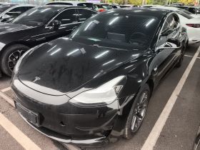 特斯拉 Model 3 2020款 标准续航后驱升级版