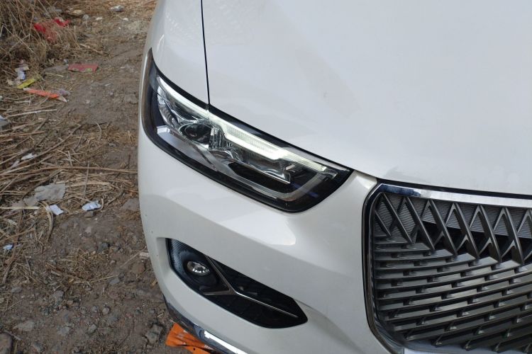 哈弗H6 2021款 1.5T 自动冠军版车身外观6006