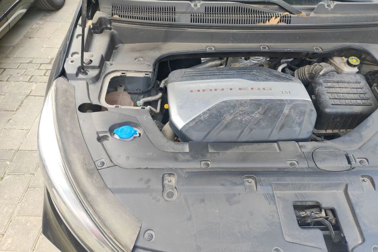 汉腾汽车 汉腾X5 2020款 1.5T 自动豪华型 5座机舱底盘25