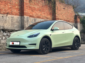 特斯拉 Model Y 2024款 后轮驱动版