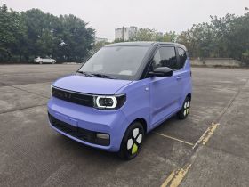 五菱汽车 宏光MINIEV 2022款 马卡龙绘色款 磷酸铁锂