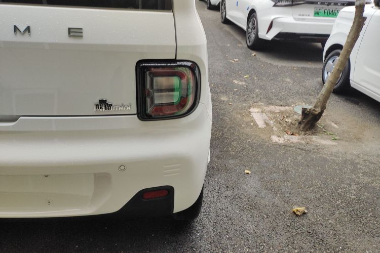 吉利银河 2024款 熊猫mini 200km 耐力熊车身外观9