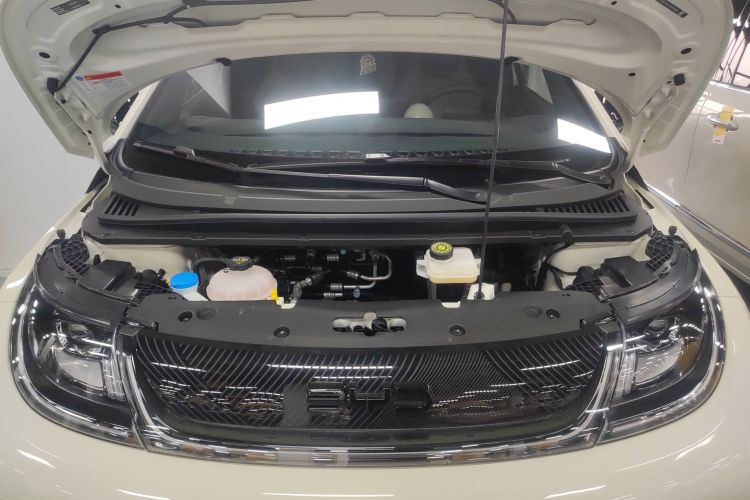 比亚迪 海豚 2024款 荣耀版 420km 时尚版机舱底盘24