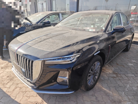 红旗H5 2024款 1.5T DCT智联旗韵版