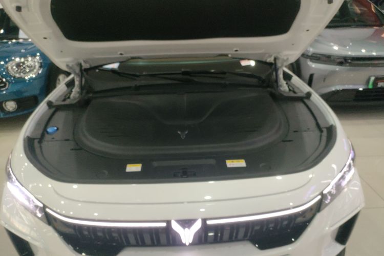 岚图汽车 岚图FREE 2024款 超长续航智驾版机舱底盘24