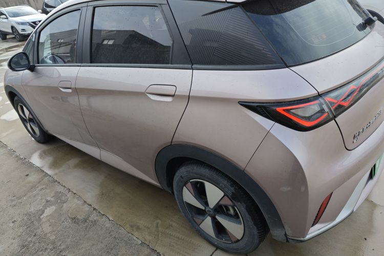 比亚迪 海豚 2023款 420km 自由版车身外观4