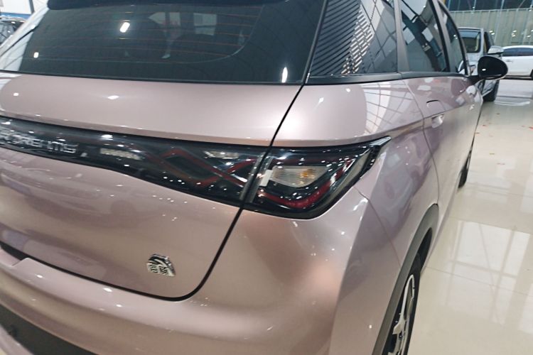 比亚迪 海豚 2021款 405km 时尚版车身外观9