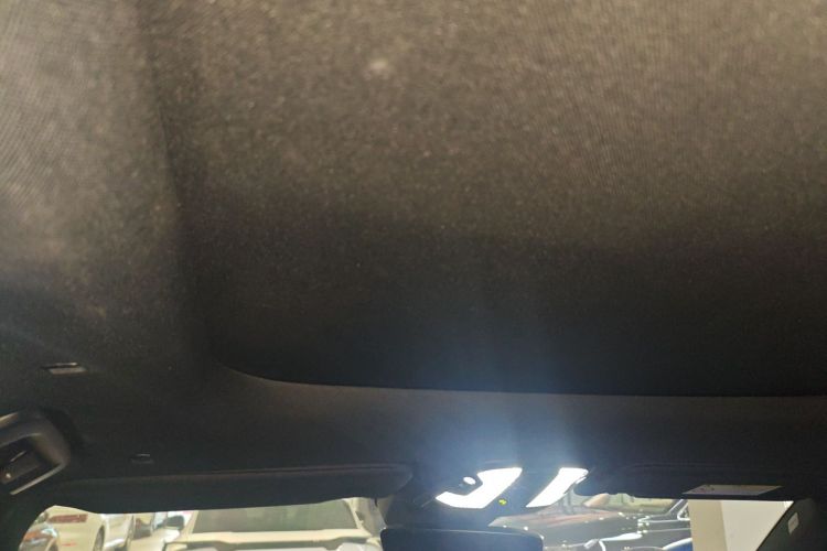 领克09 EM-P 2021款 2.0T PHEV Halo 六座中控内饰22