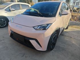 比亚迪 海鸥 2023款 自由版