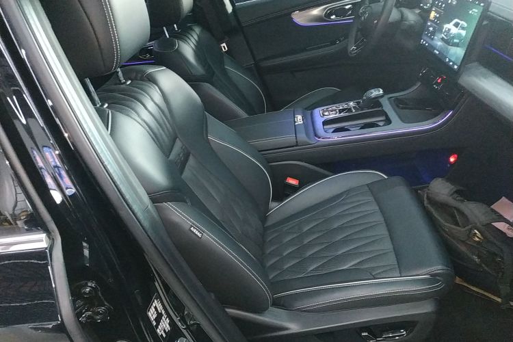 广汽传祺 传祺GS8 2022款 双擎系列 2.0TM 两驱尊贵版 （六座）局部细节41