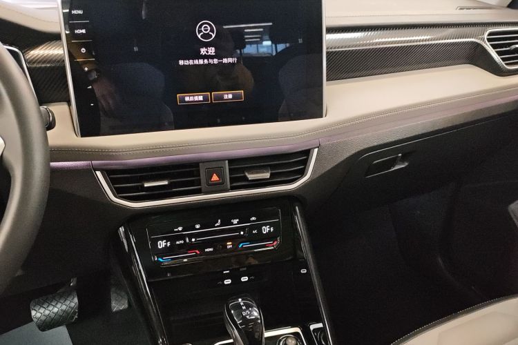 大众 探岳 2024款 330TSI 两驱豪华Plus进阶版中控内饰16