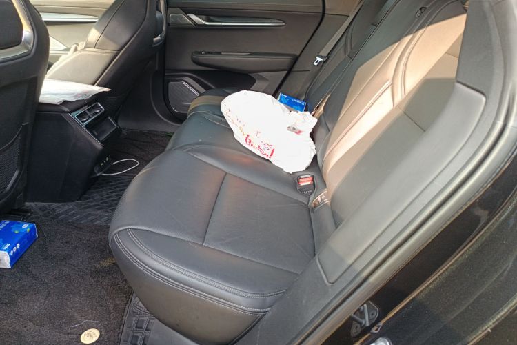 极氪001 2022款 超长续航单电机 WE版中控内饰21