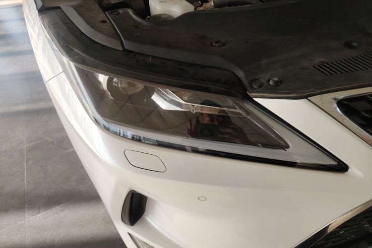 雷克萨斯RX 2020款 改款 300 两驱精英版车身外观8