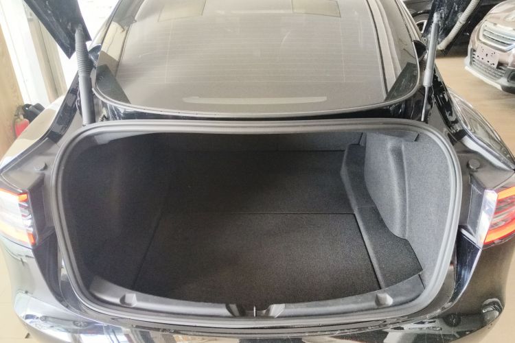 特斯拉 Model 3 2021款 标准续航后驱升级版 3D6局部细节23