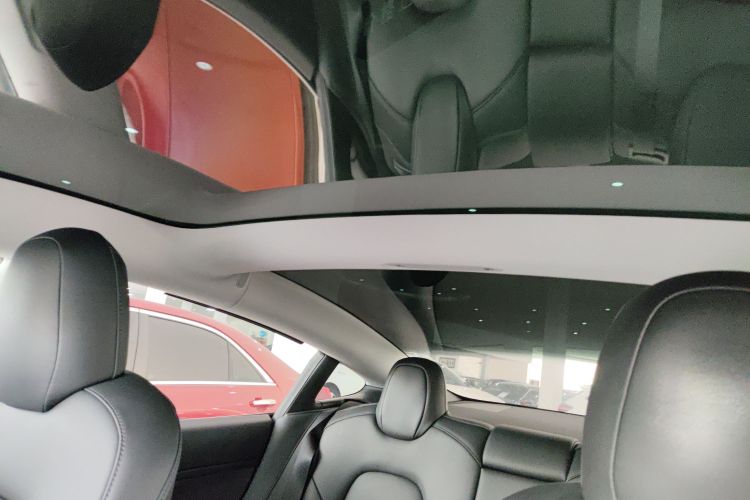 特斯拉 Model 3 2019款 标准续航后驱升级版局部细节22