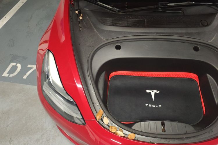 特斯拉 Model 3 2021款 改款 标准续航后驱升级版 3D1局部细节9006