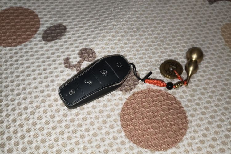 比亚迪 海豚 2023款 420km 时尚版中控内饰7001