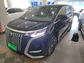 腾势D9 2024款 EV 620 尊享型