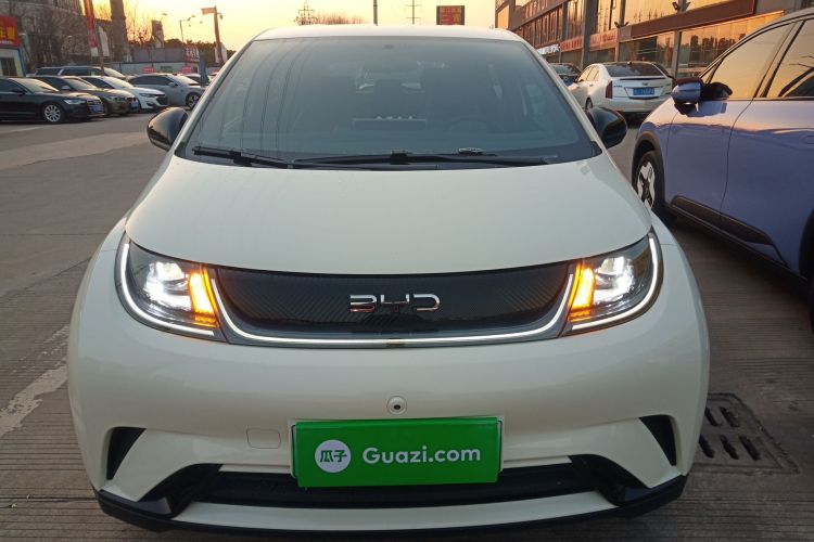 比亚迪 海豚 2024款 荣耀版 420km 自由版车身外观2