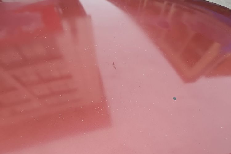 雪铁龙 爱丽舍 2014款 1.6L 自动时尚型局部细节57