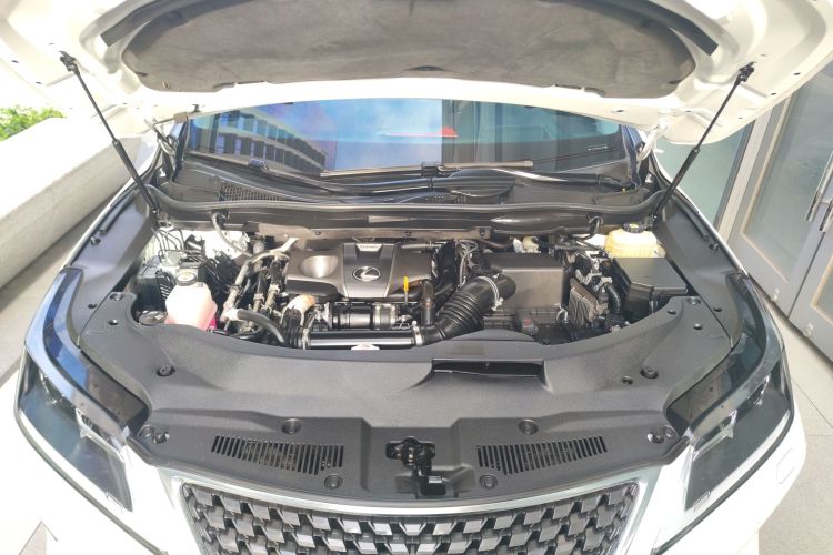 雷克萨斯RX 2020款 改款 300 两驱舒适版机舱底盘24