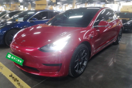 特斯拉 Model 3 2019款 标准续航后驱升级版