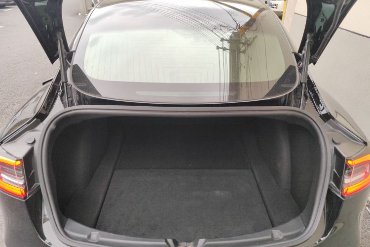 特斯拉 Model 3(进口) 2019款 长续航全轮驱动版局部细节23