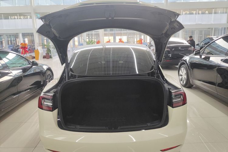 特斯拉 Model 3 2022款 后轮驱动版局部细节23