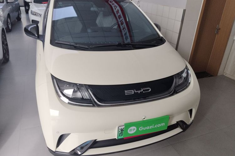 比亚迪 海豚 2023款 420km 时尚版车身外观6001