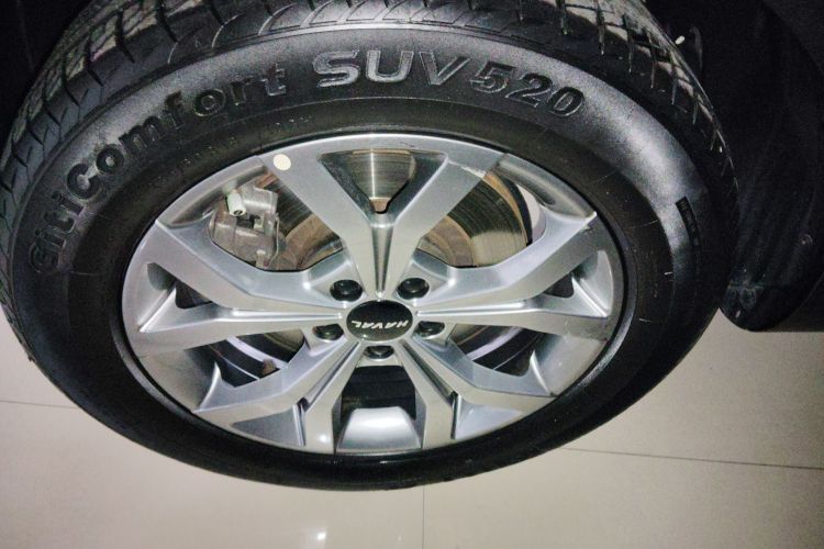 哈弗H6 2021款 国潮版 1.5T 自动冠军版车身外观6007