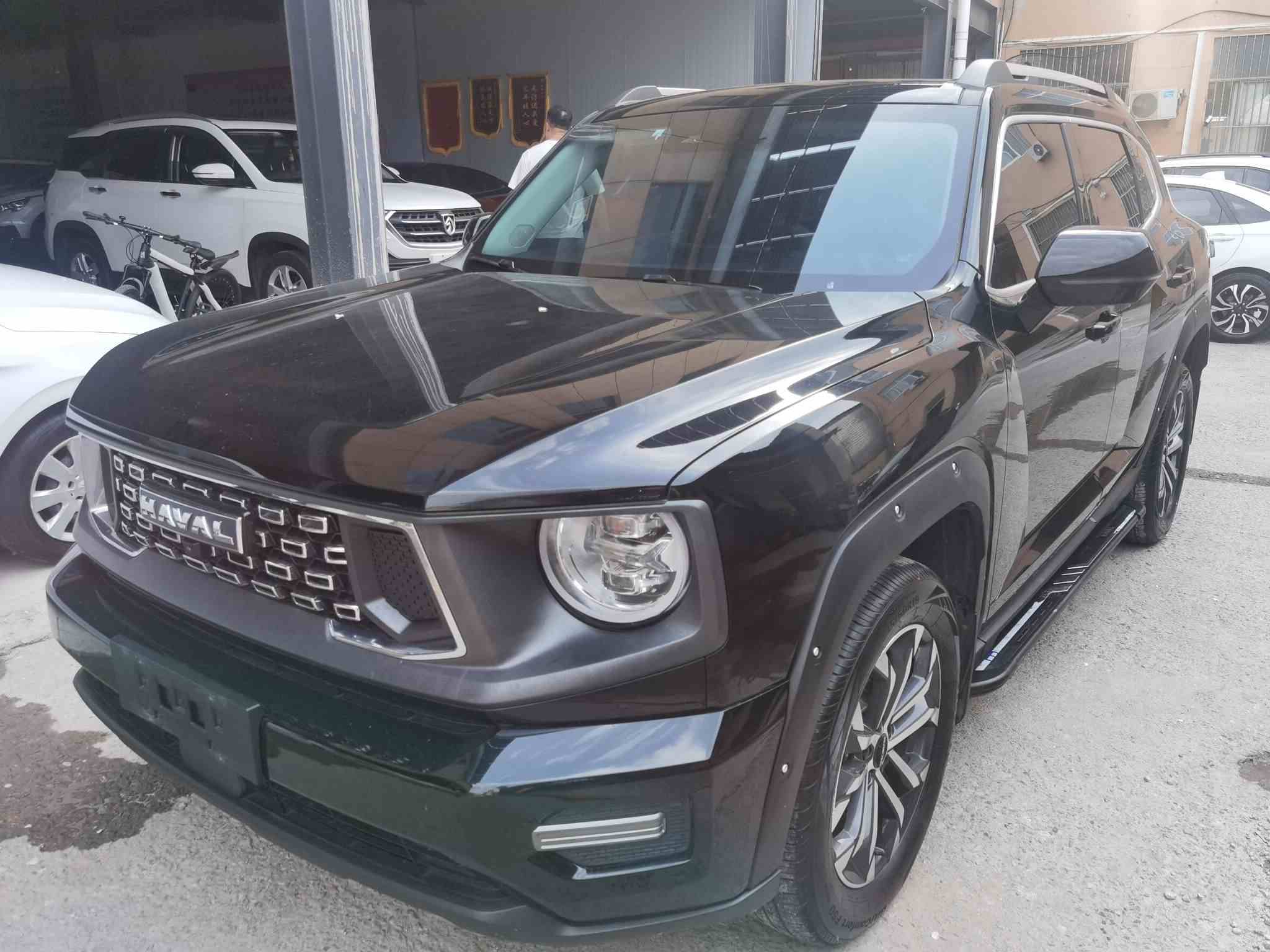 哈弗大狗 PLUS 2023款 1.5T 两驱潮野版Plus(2)